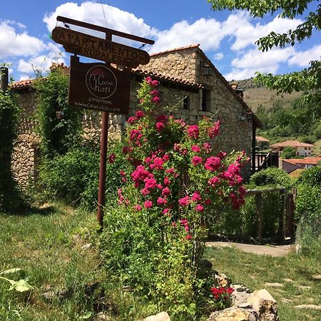 Casas Rurales Chon Alto Tajo 佩拉莱霍斯德拉斯特鲁查斯 外观 照片