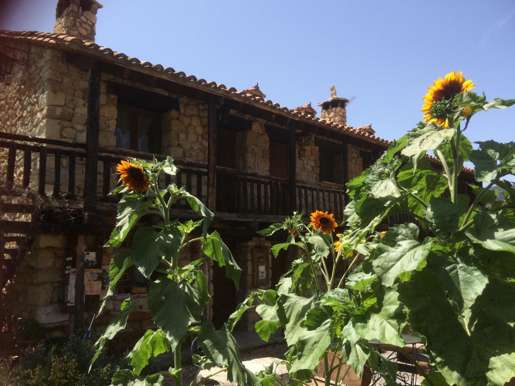 Casas Rurales Chon Alto Tajo 佩拉莱霍斯德拉斯特鲁查斯 外观 照片
